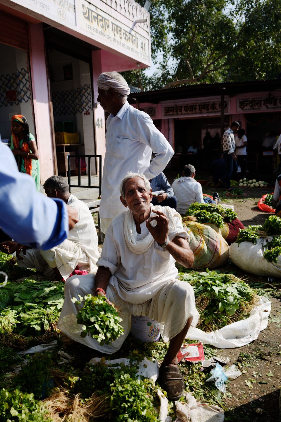 Food Market Jaipur