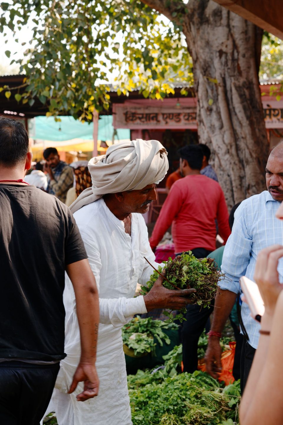 Food Market Jaipur