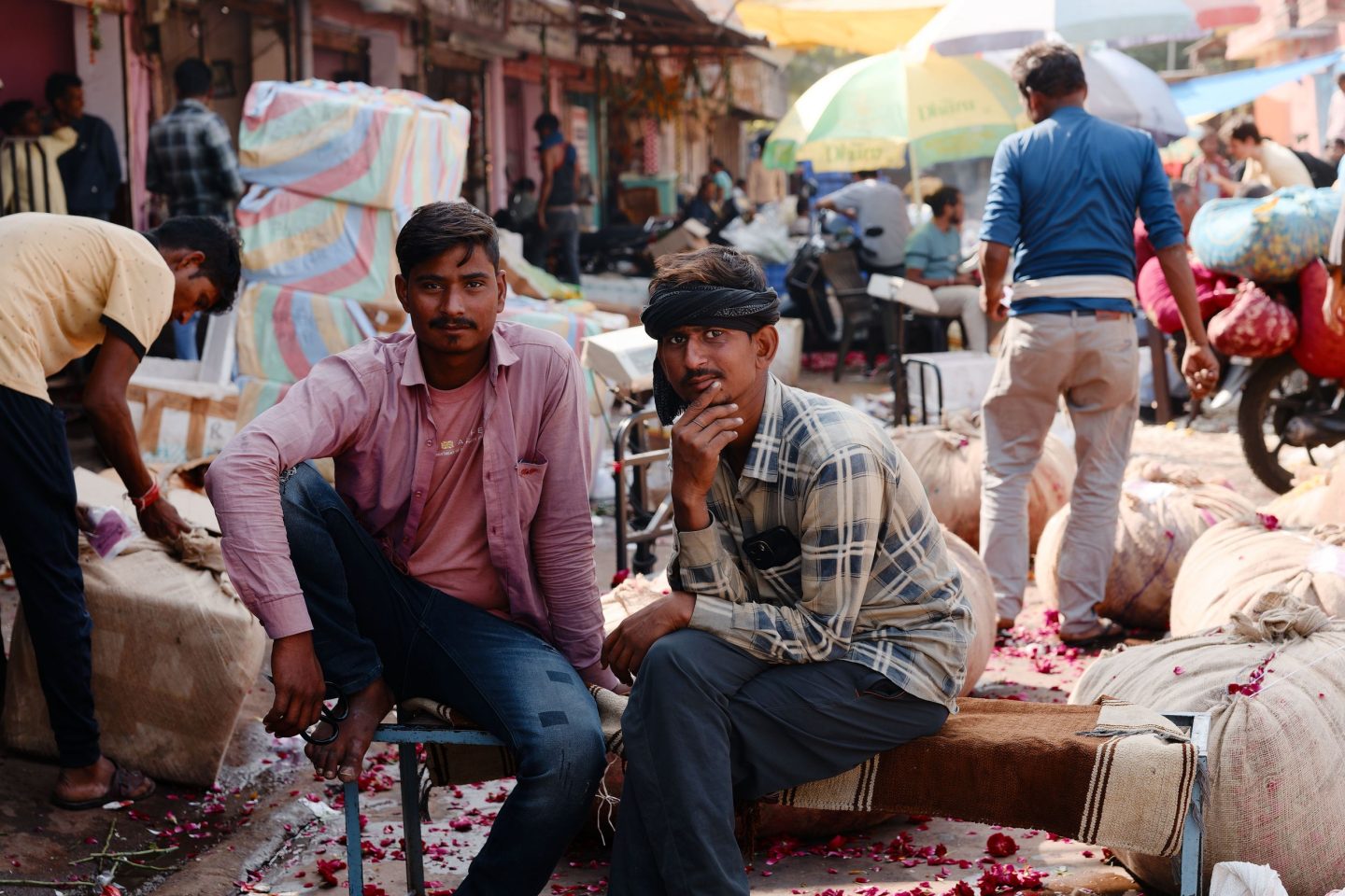 Food Market Jaipur