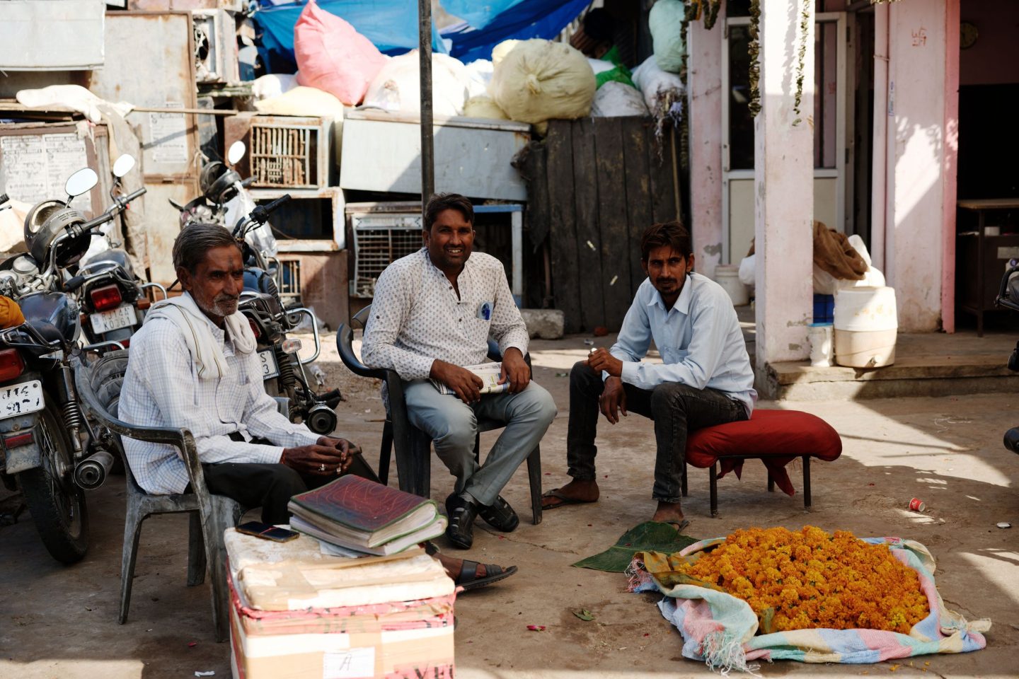 Food Market Jaipur