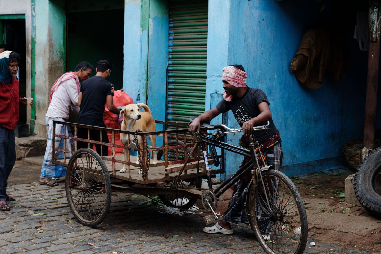 Koley Market Kolkata