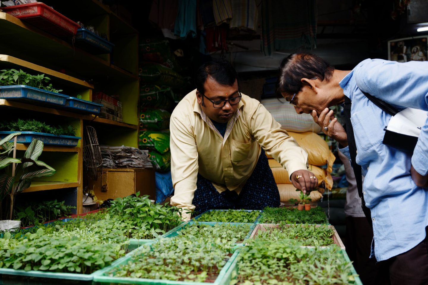 Koley Market Kolkata